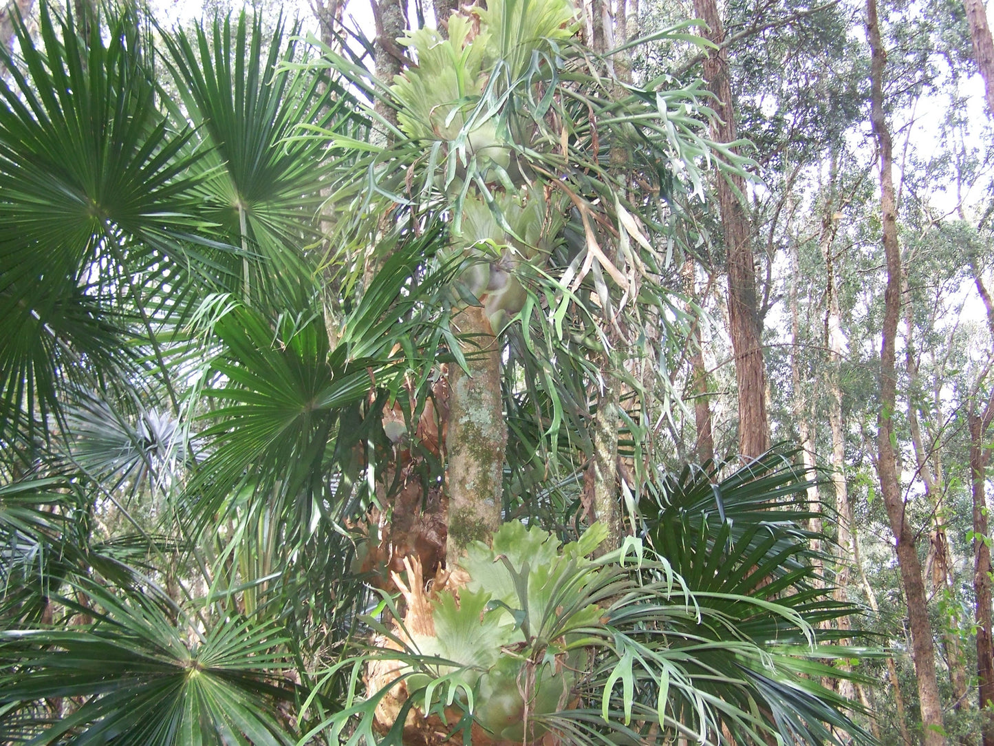 Nature Photos #068