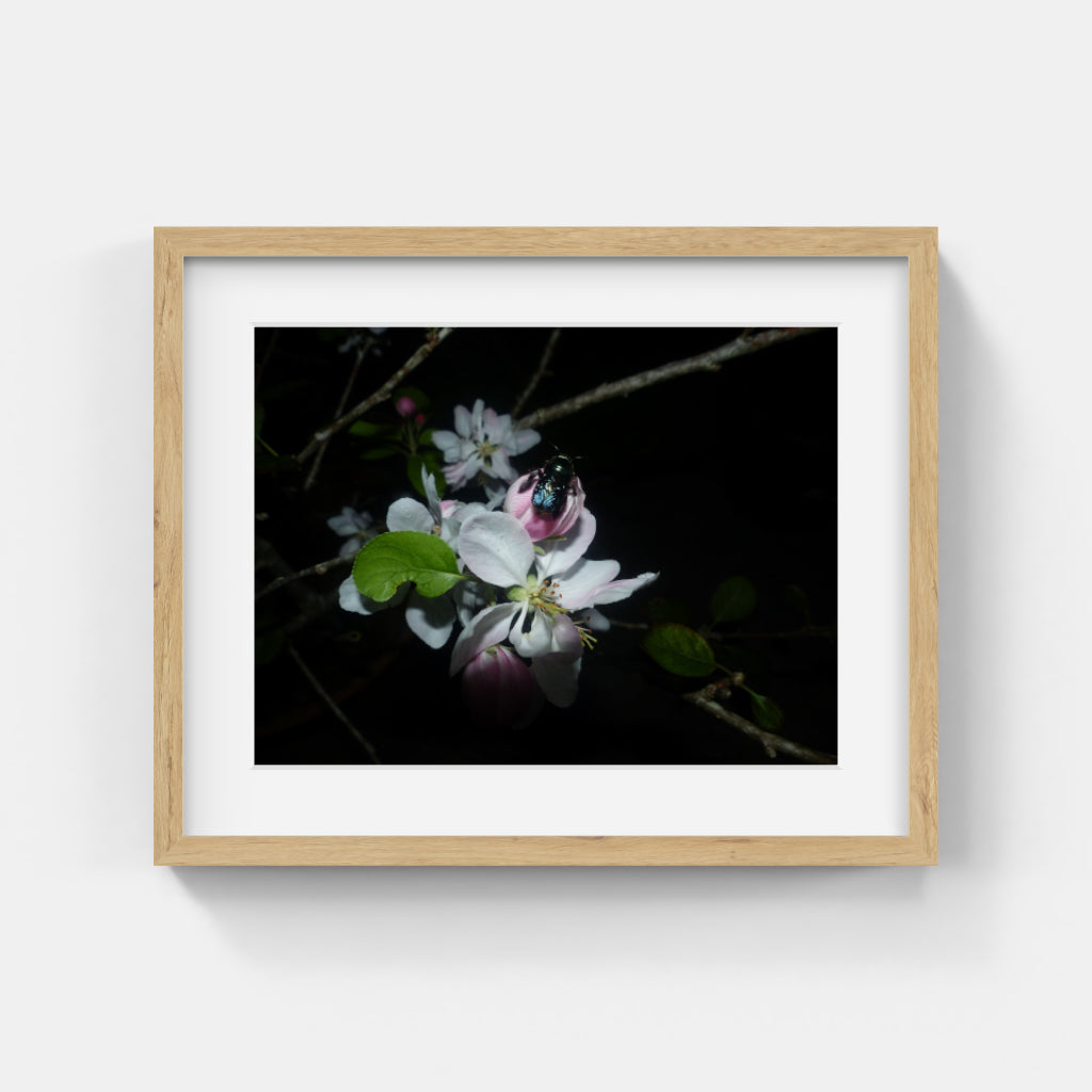 Animal Photos #043
