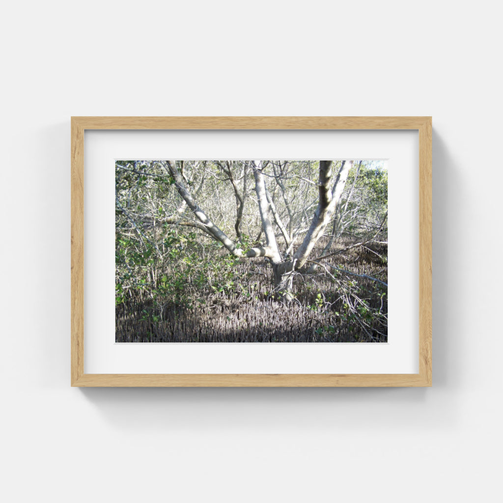 Nature Photos #067