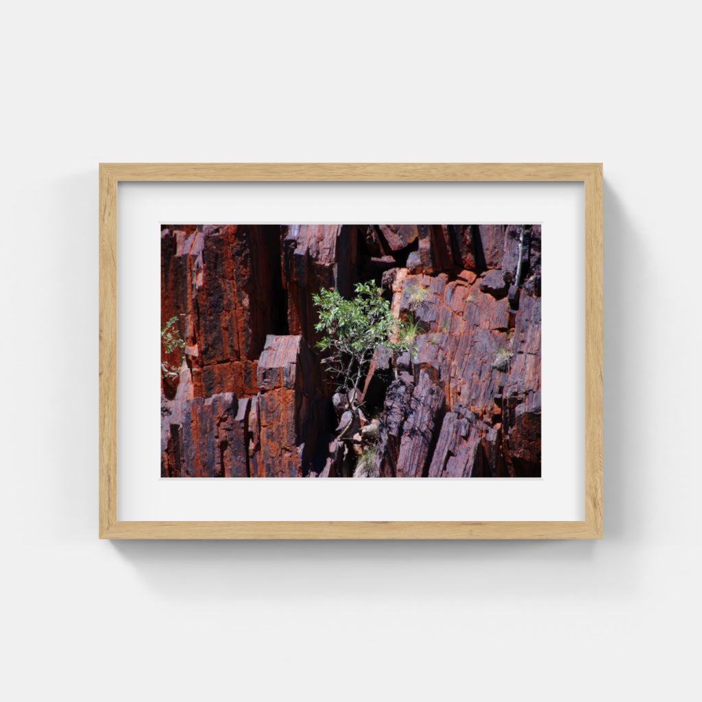 Nature Photos #078