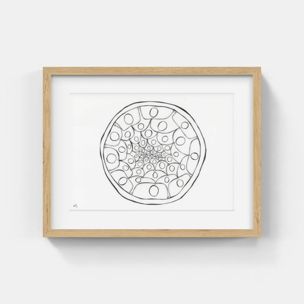 Connection #066