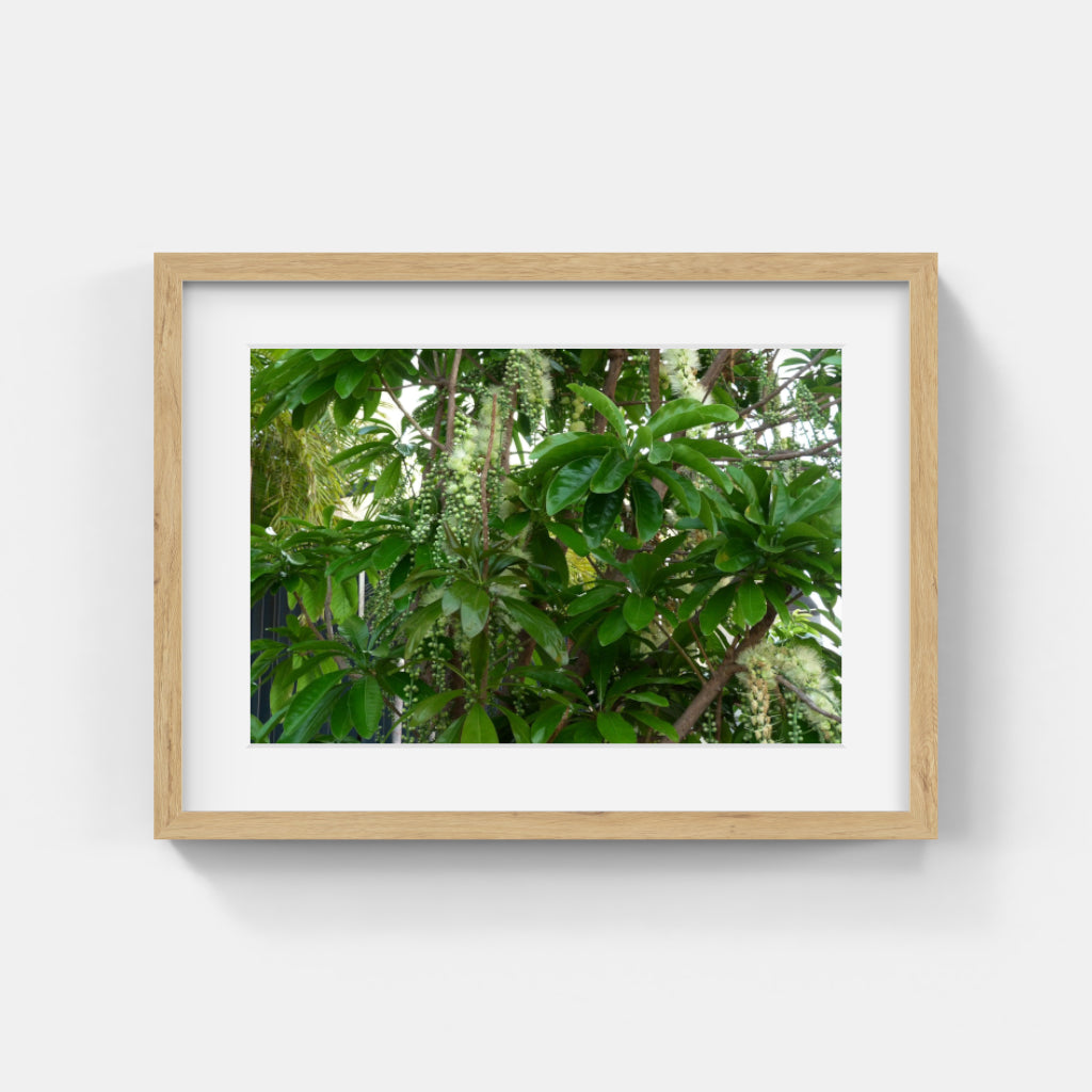 Nature Photos #094